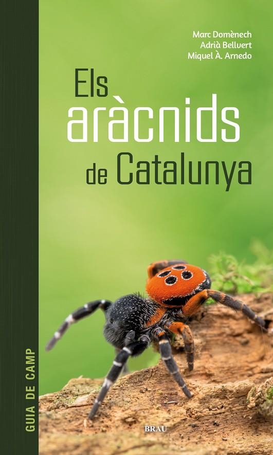 Els aràcnids de Catalunya | 9788418096686 | Domènech Andreu, Marc/Bellvert Bantí, Adrià/Arnedo Lombarte, Miquel Àngel | Llibres.cat | Llibreria online en català | La Impossible Llibreters Barcelona