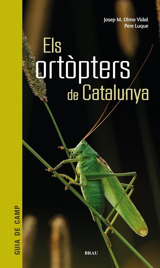 Els ortòpters de Catalunya | 9788418096266 | Olmo Vidal, Josep M/Luque Pino, Pere | Llibres.cat | Llibreria online en català | La Impossible Llibreters Barcelona