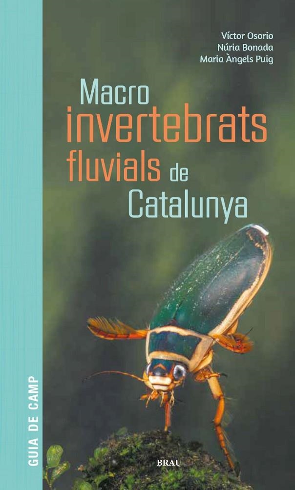 Macroinvertebrats fluvials de Catalunya | 9788418096204 | Osorio Álvarez, Víctor/Puig García, M. Ángeles/Bonada Caparrós, Núria | Llibres.cat | Llibreria online en català | La Impossible Llibreters Barcelona