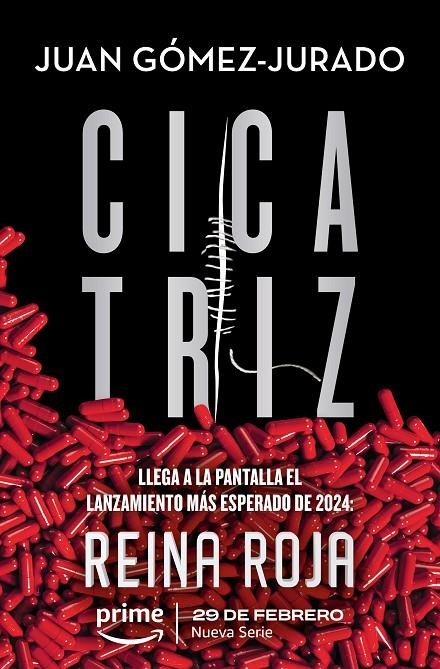 Cicatriz | 9788413143231 | Gómez-Jurado, Juan | Llibres.cat | Llibreria online en català | La Impossible Llibreters Barcelona