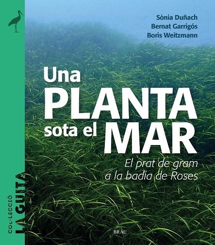 Una planta sota el mar | 9788418096747 | Duñach, Sònia/Garrigós, Bernat/Weitzmann, Boris | Llibres.cat | Llibreria online en català | La Impossible Llibreters Barcelona