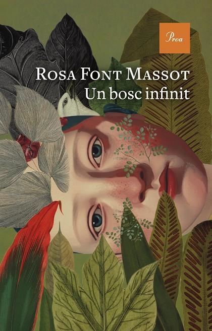 Un bosc infinit | 9788419657732 | Font Massot, Rosa | Llibres.cat | Llibreria online en català | La Impossible Llibreters Barcelona