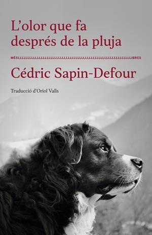 L'olor que fa després de la pluja | 9788417353568 | Cédric Sapin-Defour | Llibres.cat | Llibreria online en català | La Impossible Llibreters Barcelona