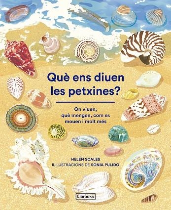 Què ens diuen les petxines? | 9788412826500 | Scales, Helen | Llibres.cat | Llibreria online en català | La Impossible Llibreters Barcelona