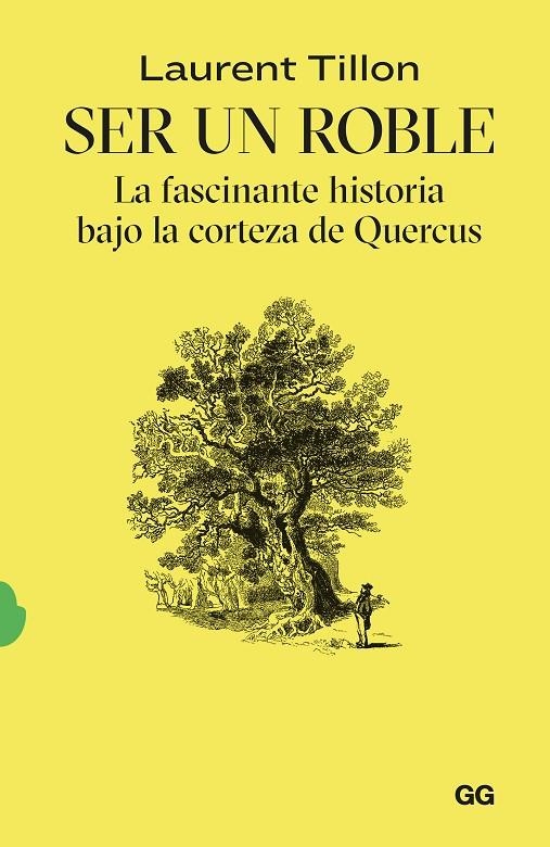 Ser un roble | 9788425235054 | Tillon, Laurent | Llibres.cat | Llibreria online en català | La Impossible Llibreters Barcelona