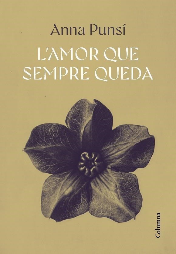 L'amor que sempre queda | 9788466432382 | Punsí Lladó, Anna | Llibres.cat | Llibreria online en català | La Impossible Llibreters Barcelona