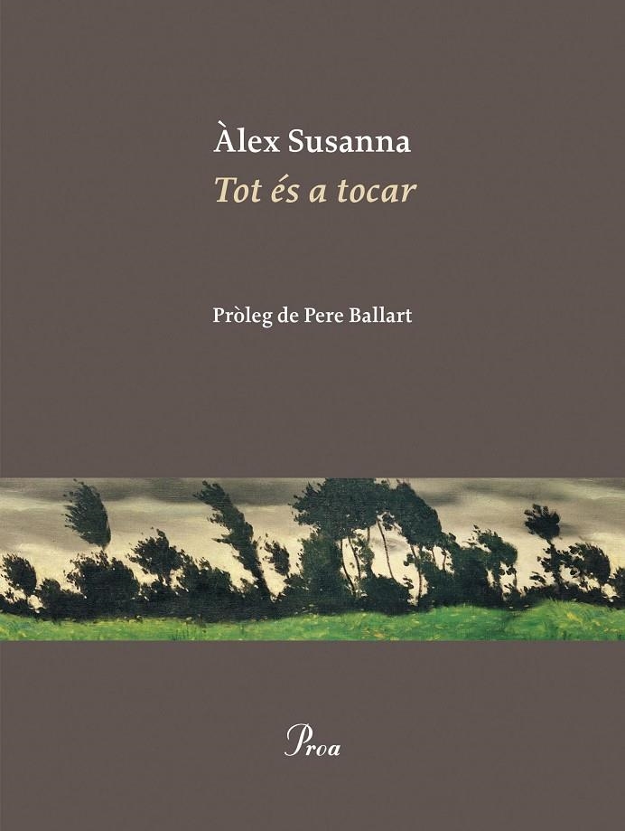 Tot és a tocar | 9788410488052 | Susanna, Àlex | Llibres.cat | Llibreria online en català | La Impossible Llibreters Barcelona