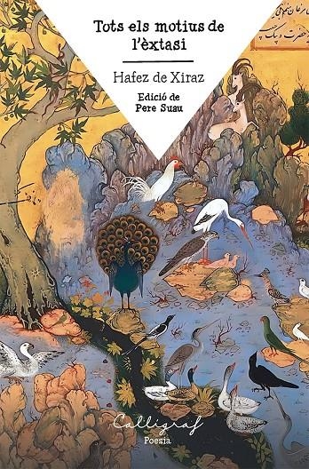 Tots els motius de l’èxtasi | 9788412829976 | Hafez de Xiraz | Llibres.cat | Llibreria online en català | La Impossible Llibreters Barcelona