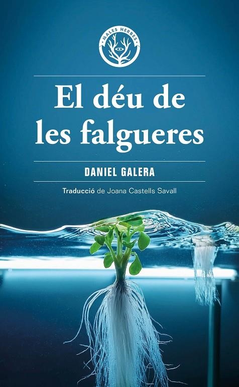 El déu de les falgueres | 9788412910919 | Galera, Daniel | Llibres.cat | Llibreria online en català | La Impossible Llibreters Barcelona