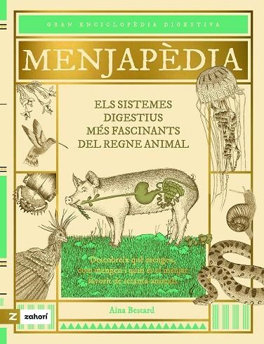 Menjapèdia | 9788419889423 | Aina Bestard | Llibres.cat | Llibreria online en català | La Impossible Llibreters Barcelona