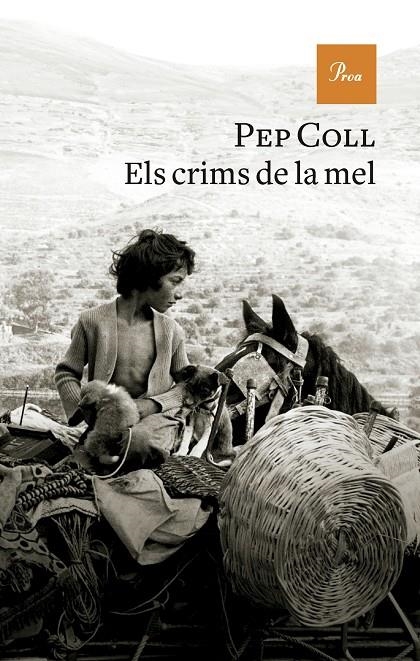 Els crims de la mel | 9788419657930 | Coll, Pep | Llibres.cat | Llibreria online en català | La Impossible Llibreters Barcelona