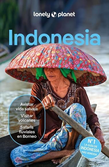 Indonesia 6 | 9788408291190 | D'Arcy, Jayne/Eimer, David/Harding, Paul/Johanson, Mark/Lee, Jason/St.Louis, Regis/Berkmoes, Ryan Ve | Llibres.cat | Llibreria online en català | La Impossible Llibreters Barcelona