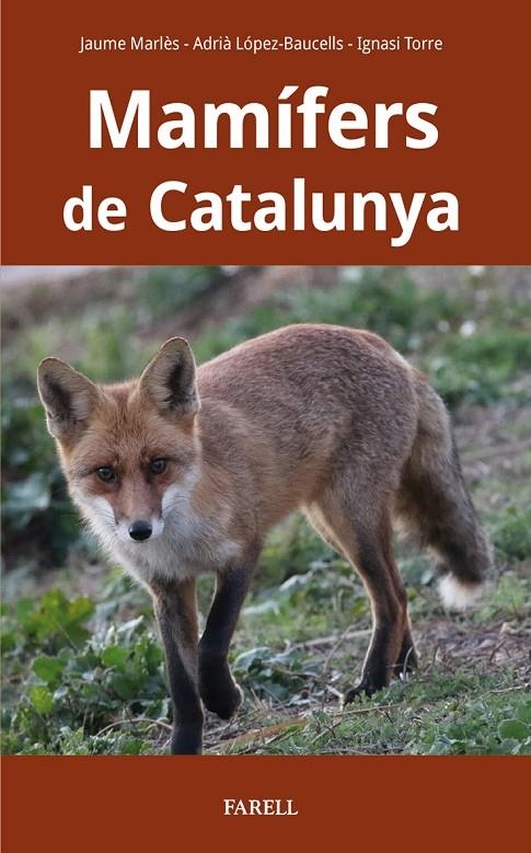 Mamífers de Catalunya | 9788417116927 | Marles Magre, Jaume/Lopez-Baucells, Adria/Torre Corominas, Ignasi | Llibres.cat | Llibreria online en català | La Impossible Llibreters Barcelona